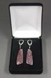Gorgeous Agatized Dinosaur Bone (Gembone) Earrings #54081-12